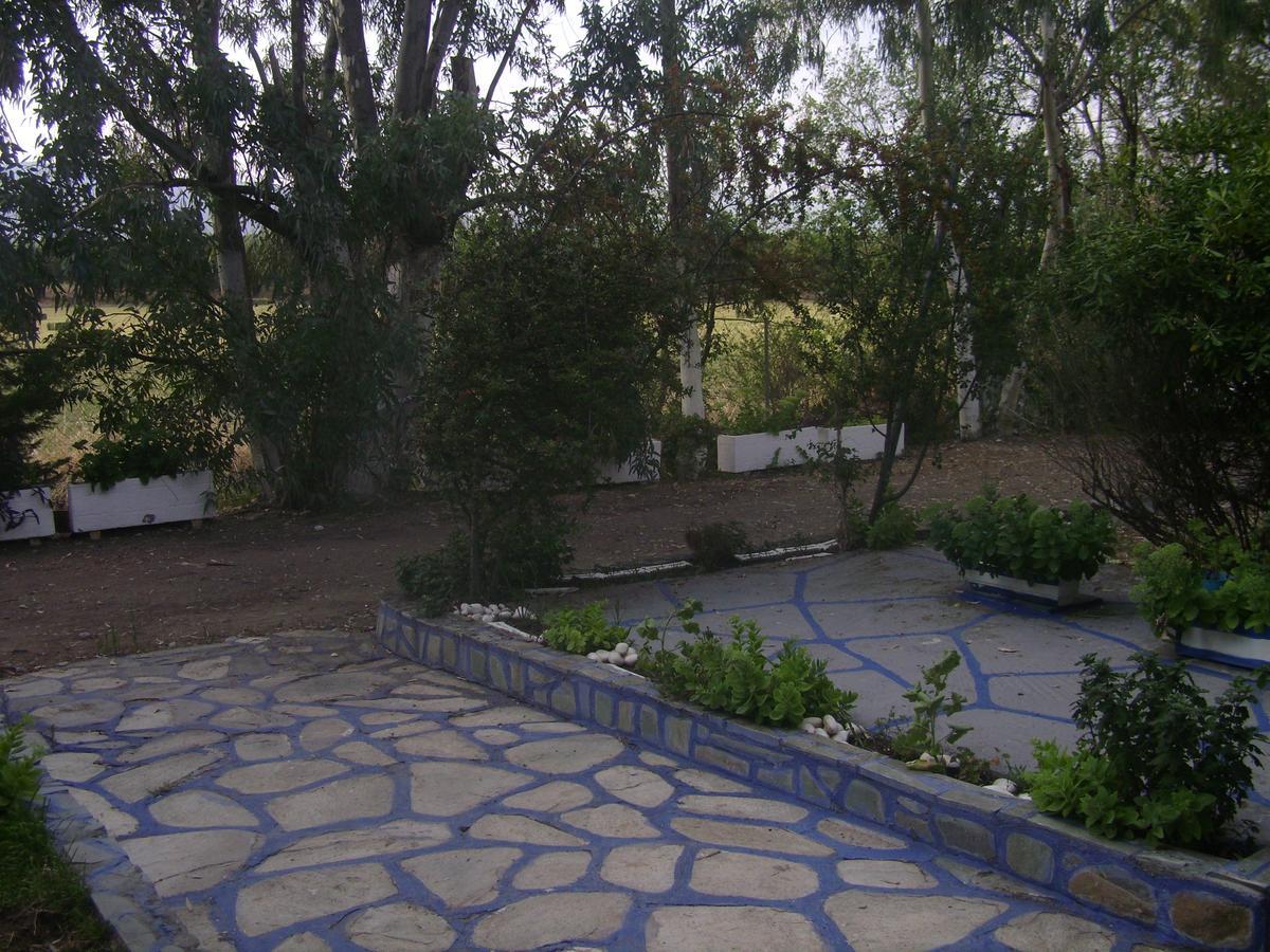 Villa Zoi Thronion Exterior foto